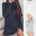 NEW Winter sweaters women turtlene shirt knit dress