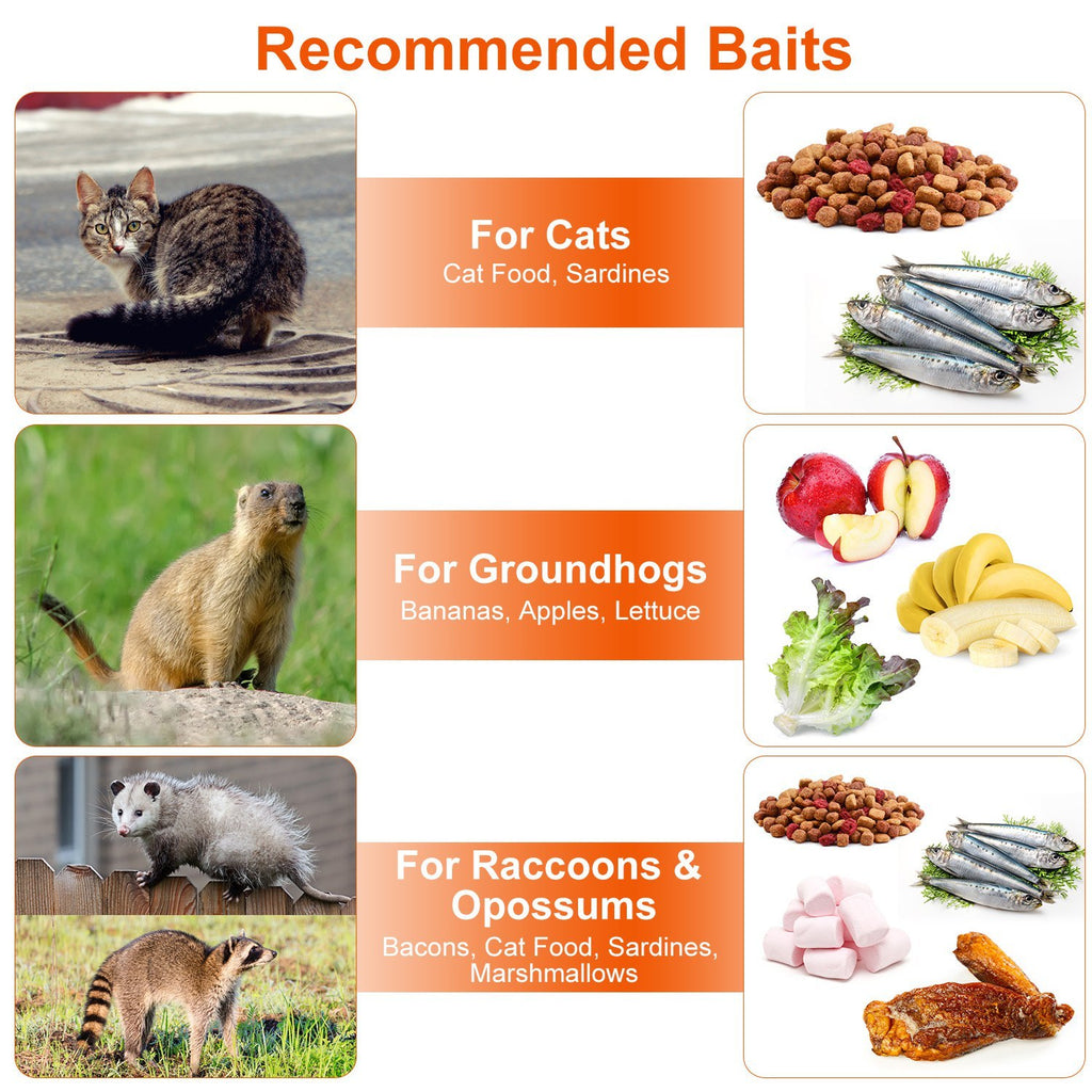 1Pc Live Animal Trap Cage 37x14x15in Folding Catch And Release Humane Cat Trap Galvanized Iron For Raccoons Foxes Coyotes Stray Dogs Armadillos Squirrels